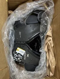 Item thumbnail for item 2e149326-24ba-4c1f-8621-158ba87a156c