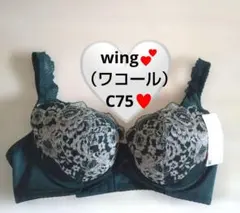 ♥新品 Wing C75 ナチュラルアップブラ ブラジャー　 ワコール♥GR♥のサムネイル