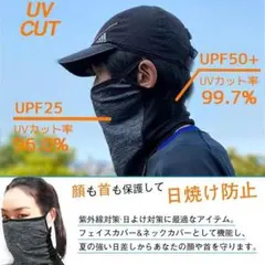 Item thumbnail for item 60e6cc40-5e4d-43b1-ac8a-917acc03372c