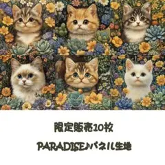 PARADISEパネル生地　 限定販売10枚　猫柄　P156