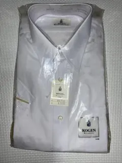 Item thumbnail for item 8c291646-66b3-4476-b741-83e5b3fd2571