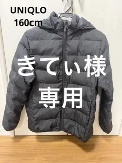 ユニクロダウン160