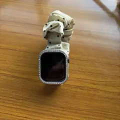 Apple Watch最新版