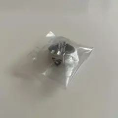 家庭教師ヒットマンREBORN! ボンゴレリングコレクション　晴のボンゴレリング