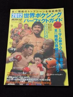 ボクシング パンフレット〜ナパ×井岡弘樹3 Boxing Program WBC世界ストロー級タイトルマッチ パンフレット ナパVS井岡弘樹