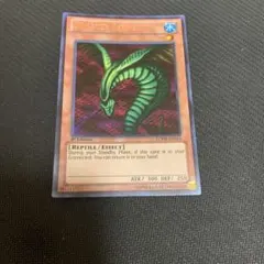 遊戯王 キラー・スネーク　PSA9 英語版　シークレット 遊戯王 キラー・スネーク PSA9 英語版 シークレット 遊戯王