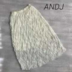 美品❣️ANDJ アンドジェイ シフォンプリーツ　ロングスカート ホワイト　白のサムネイル