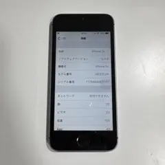 (非正規パネル) iPhone 5s スペースグレイ 16GB SoftBank
