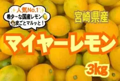 【期間限定❣️】マイヤーレモン3㎏