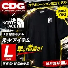 CDG メッシュ TシャツCDG OVERSIZED MESH T-SHIRT - メルカリ