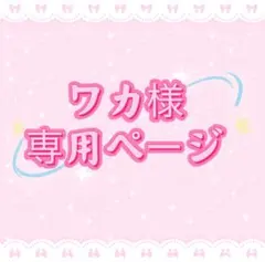 ワカ様専用ページ