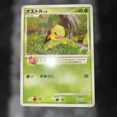 2026年最新】ナエトル lv9の人気アイテム - メルカリ