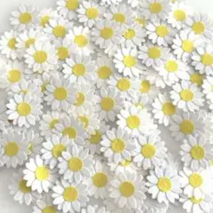 Item thumbnail for item 50e9edce-d1eb-4374-8c91-ab81a5d4d385