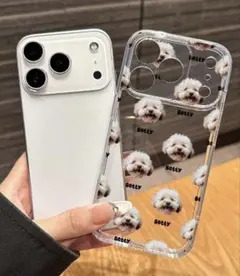 Item thumbnail for item 53fb37e0-b7f6-4d8d-879a-edb5f9622103