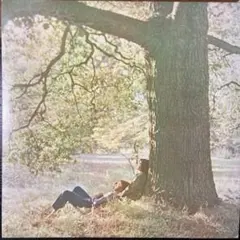 レコード John Lennon Plastic Ono Band LP