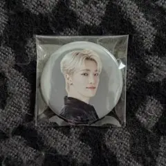 ディノ 缶バッジ