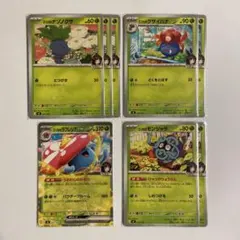 エリカのラフレシアex　他まとめ売り