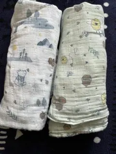 Item thumbnail for item 8df02d70-d131-4b30-8f66-00494e515b4a