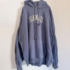 Brandy Melville Hawaii パーカー くすみブルーのサムネイル