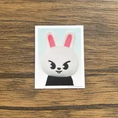 SKZ TOYWORLD 完全生産限定盤 封入 ID フォト Leebit