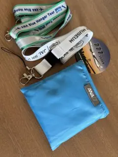 Item thumbnail for item 3d588ad3-f6e1-4547-ba99-27e31bdb9e92