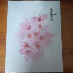 滝沢歌舞伎ZERO FINAL パンフレット