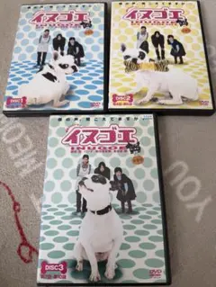 イヌゴエ DVD-BOX 全4巻 特典付き ドラマ - メルカリ