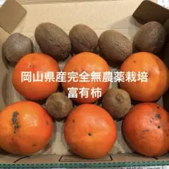 岡山県産完全無農薬栽培富有柿①
