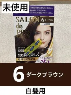 SALON de PRO サロンドプロ 泡のヘアカラー 6 ダークブラウン