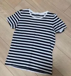 ストライプ 半袖Tシャツ