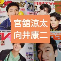 宮舘涼太　向井康二　３誌分　TVガイド　fan　navi　切り抜き