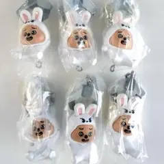 【匿名】Stray Kids スキズ SKZOO 味噌 つまつな リービット