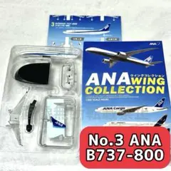 2026年最新】機体名：Boeing B737-800 模型 航空機・ヘリコプターの