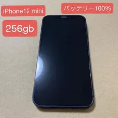 Apple iPhone 12 mini 256GB ブラック