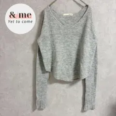 ロイヤルパーティー　長袖ニット　Ｖネック　ショート丈　ラウンドヘム　アルパカのサムネイル