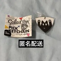 Salad Days ピックキーホルダー　シークレットのサムネイル