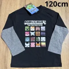 マインクラフト