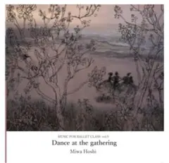 星美和　MUSIC Vol.9 Dance at the gatheringのサムネイル
