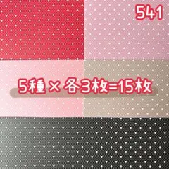 ［541］Richeru様 デザペ♡15枚