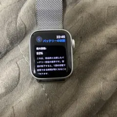 Apple Watch SE本体 純正シルバーバンド 充電器付き