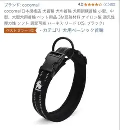 Item thumbnail for item 66092278-5f83-4ef0-8594-02cbfc49798d