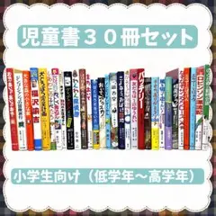 児童書 30冊 ★ 低学年〜高学年 まとめ売り w9