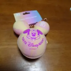 ディズニー40周年記念のバックチャームケース付き