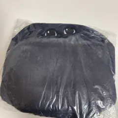 RIIZE ペンライトカバー ウォンビン