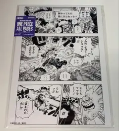 ☆ワンピースベースショップ☆All PAGES ロー キッド ルフィ 三船長