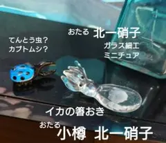 Item thumbnail for item a9011763-6ad9-4e27-911e-53eb870f2d74