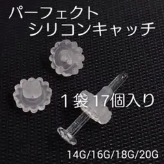 Item thumbnail for item d415c180-6374-464b-9fa4-fa7006499ae0