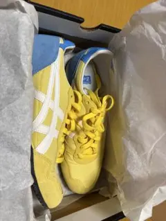 Item thumbnail for item 8552f0b8-bd7c-4f1f-beb2-760e1efe285e