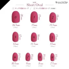 ネイルチップ計測用チップ　ショートオーバル