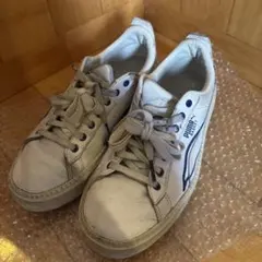 Item thumbnail for item 5e29be54-a47b-4a3d-b408-a4d29df2b6ca